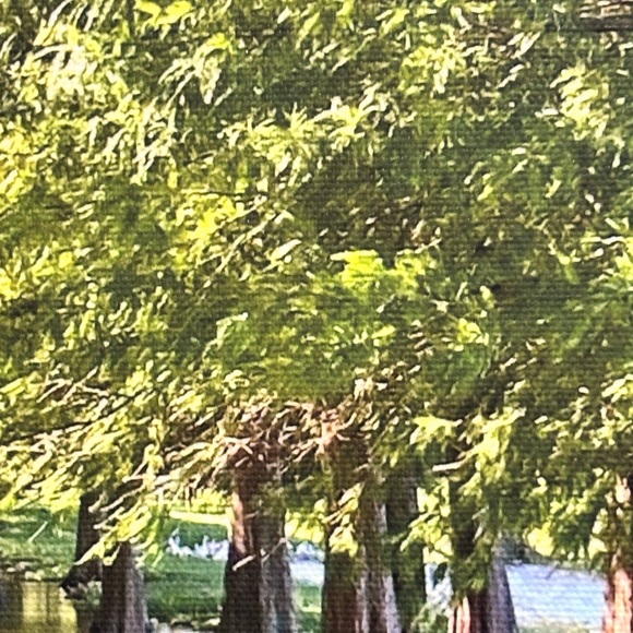 Blank Canvas 8x8 Inch - Picture 5 of 5